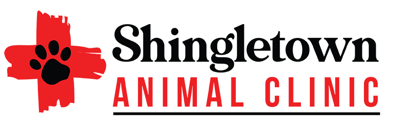 Shingletown Animal Clinic